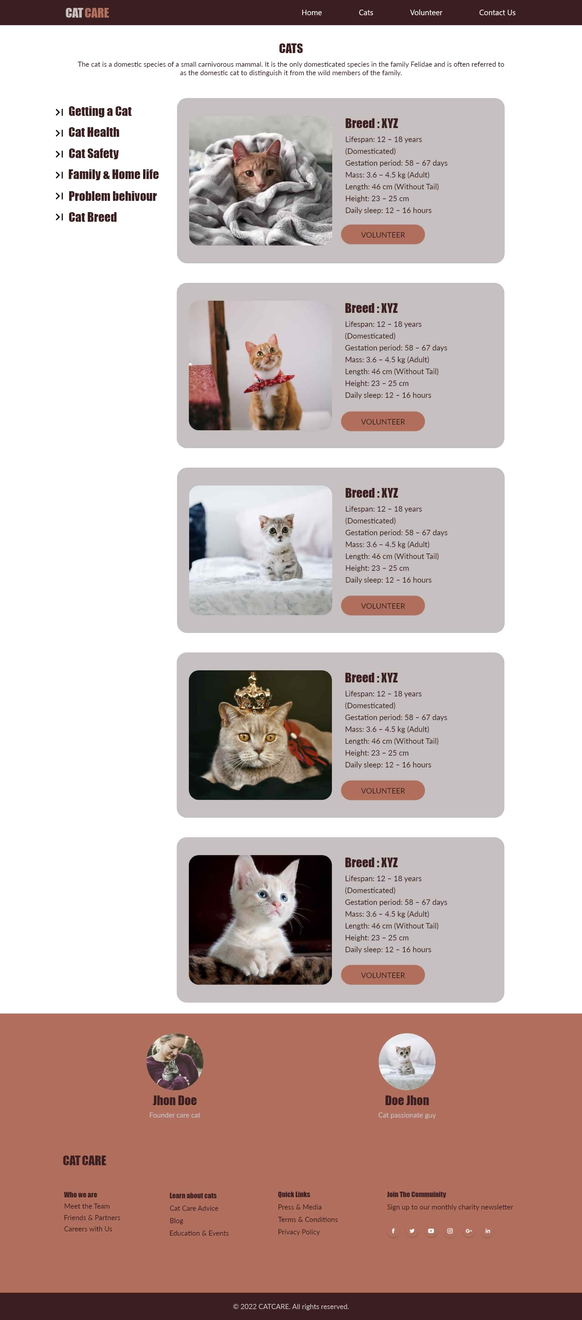 Cat Care Website Home Page