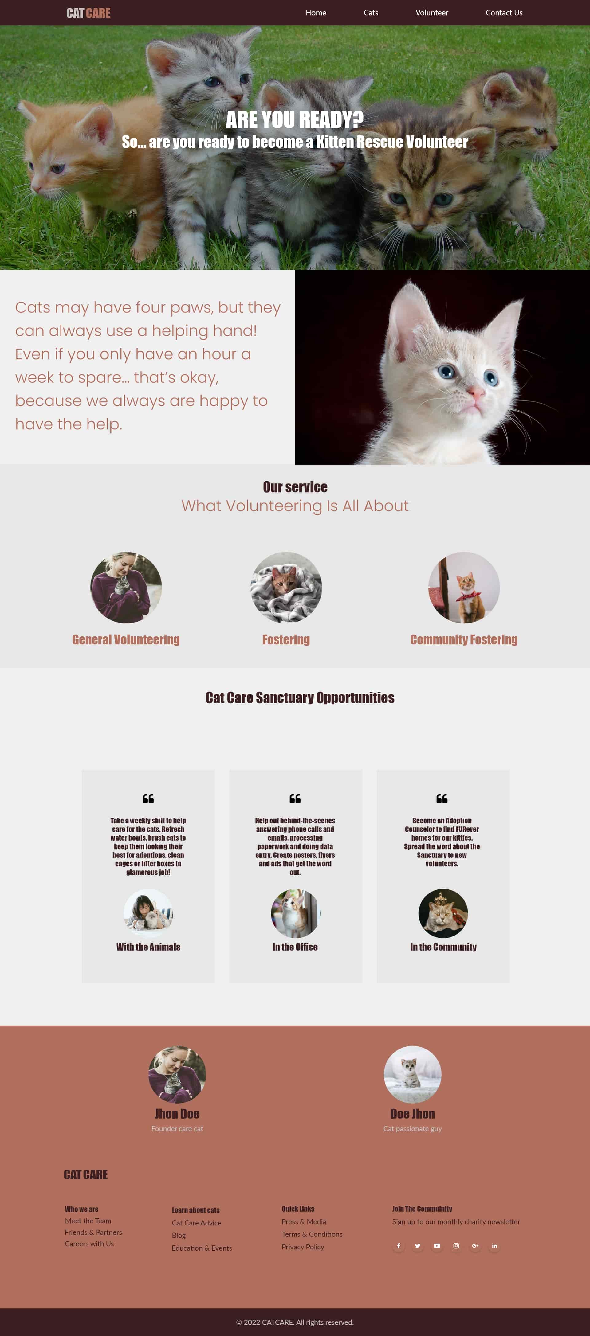 Cat Care Website Home Page Design