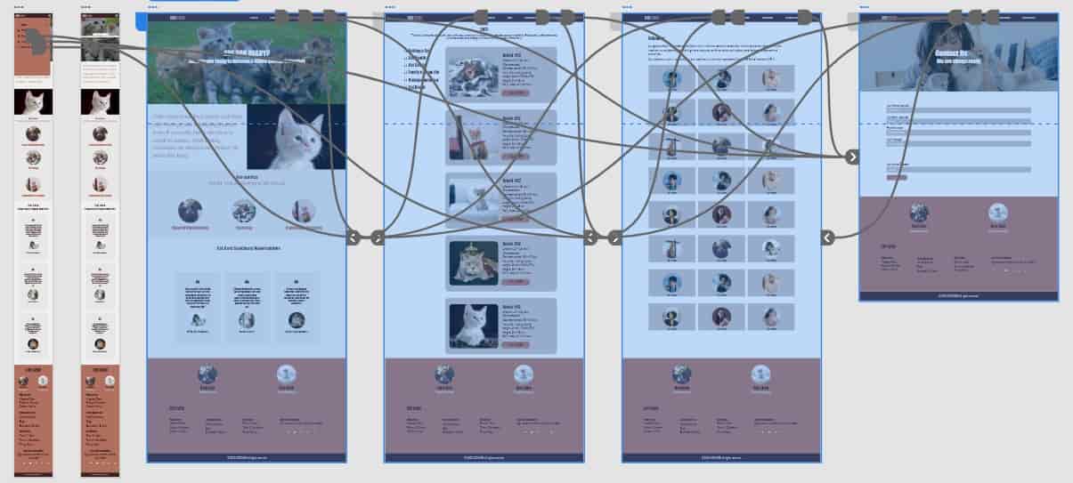 Cat Care Website Prototype